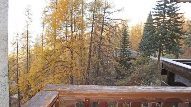 A wooden deck with a view of a forested area. - Ski-in/ski-out & foot of the slopes, 6th floor, balcony, tv, ski locker, 18m², Les Orres (Les Orres)