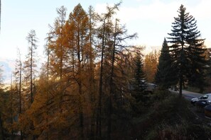 A forested area with a road and a bridge. - Ski-in/ski-out & foot of the slopes, 6th floor, balcony, tv, ski locker, 18m², Les Orres (Les Orres)