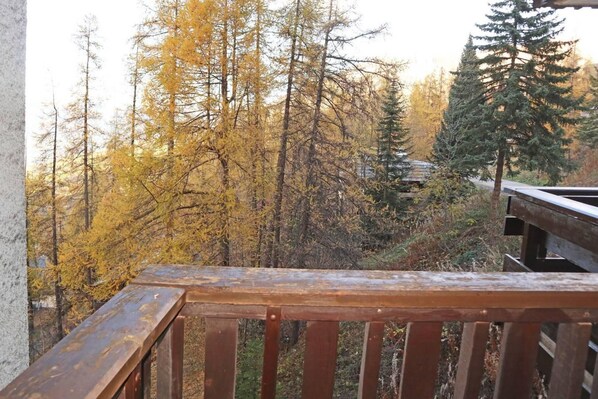 A wooden deck with a view of a forested area.