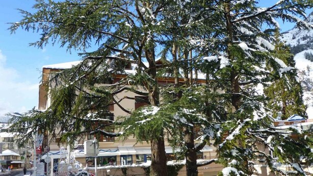 A building with snow-covered trees and a clear sky. - 200m from ski lifts, 5th floor, view mountain, balcony, tv, 30m², Brides Les Bains (Brides-les-Bains)
