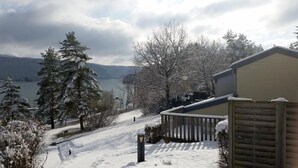 Ett snötäckt landskap med en sjö, träd och en byggnad med en träveranda.