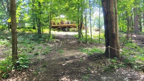 A forested area with a wooden structure in the background, surrounded by trees and a dirt path.