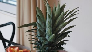 A dining table with a pineapple centerpiece, bowls of fruit, and a mug. - Apartamento 22 (Bacalar)