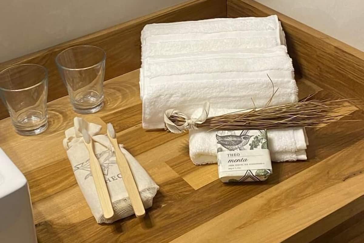 Shower, rainfall showerhead, hair dryer, bidet