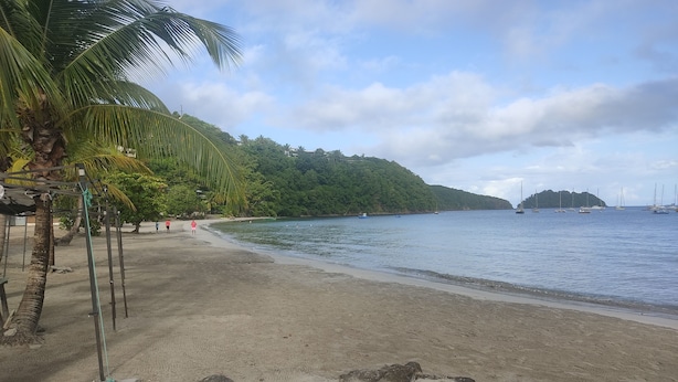 A beach with a sandy shore, palm trees, and a calm sea. - L'anse Plage. Situation Géographique Idéale (L'anse a l'âne)