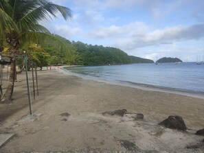 Una playa con orilla arenosa, palmeras y mar tranquilo.