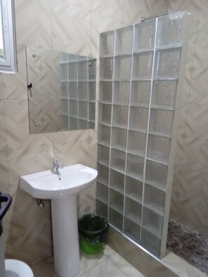 Shower, bidet, towels, soap