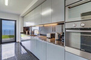 Panoramic Apartment | Private kitchen | Fridge, microwave, oven, stovetop