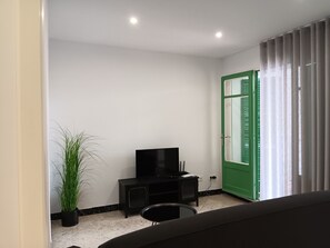 A small, modern room with a television on a black stand, a potted plant, and a green door.