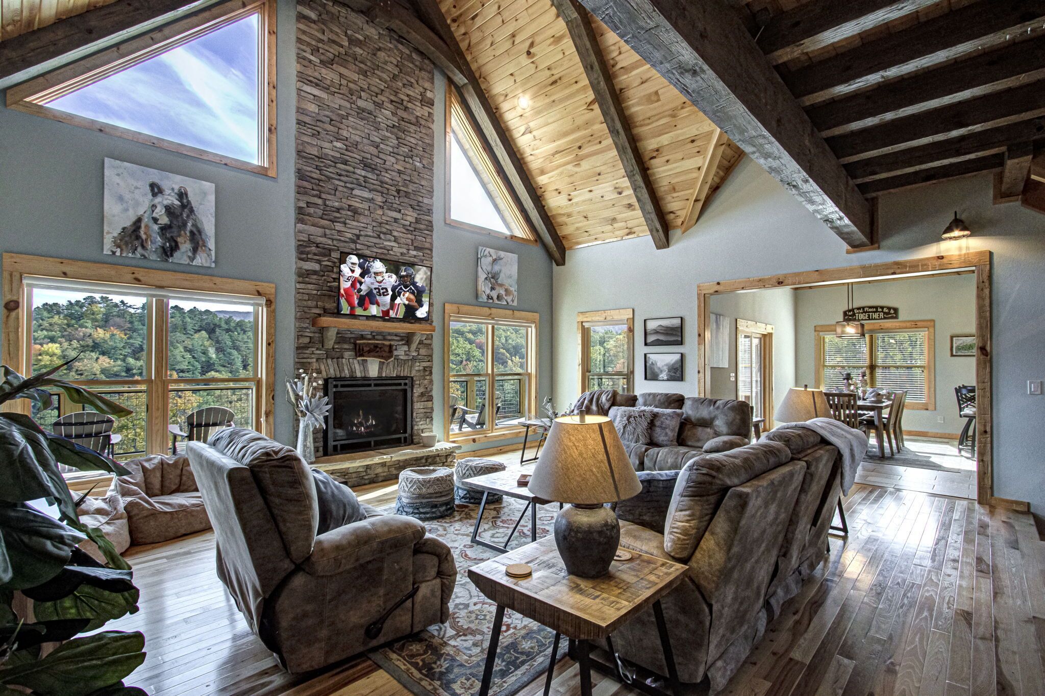 Smart TV, fireplace, video games, DVD player