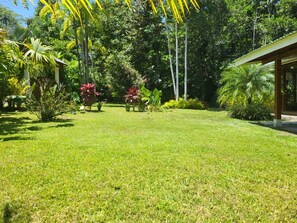 Un jardín bien cuidado con una variedad de plantas tropicales y un césped despejado.