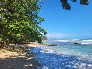 Una playa con agua azul cristalina, orilla arenosa y abundante vegetación verde.