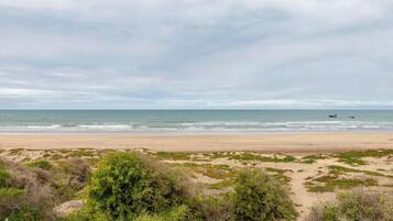 Une plage avec un rivage sablonneux et une végétation clairsemée au premier plan.