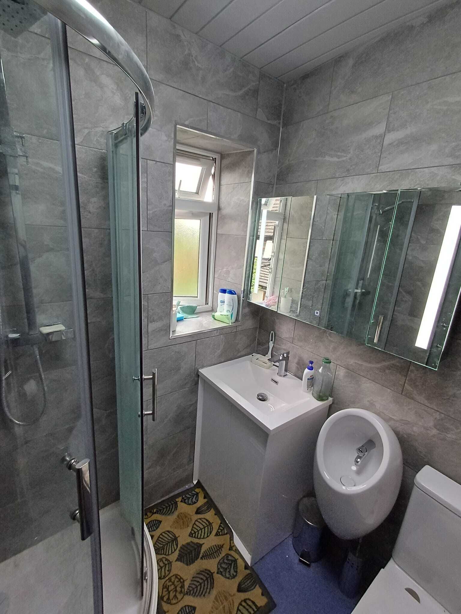 A modern bathroom with a glass shower enclosure, a white sink, a toilet, and a large mirror above the sink.