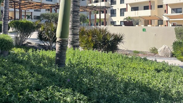 A multi-story hotel with a modern architectural design, featuring balconies and a courtyard with palm trees and shrubs. - Awesome Villa 2 Chic Pool & Hot Tub  (El Sargento)