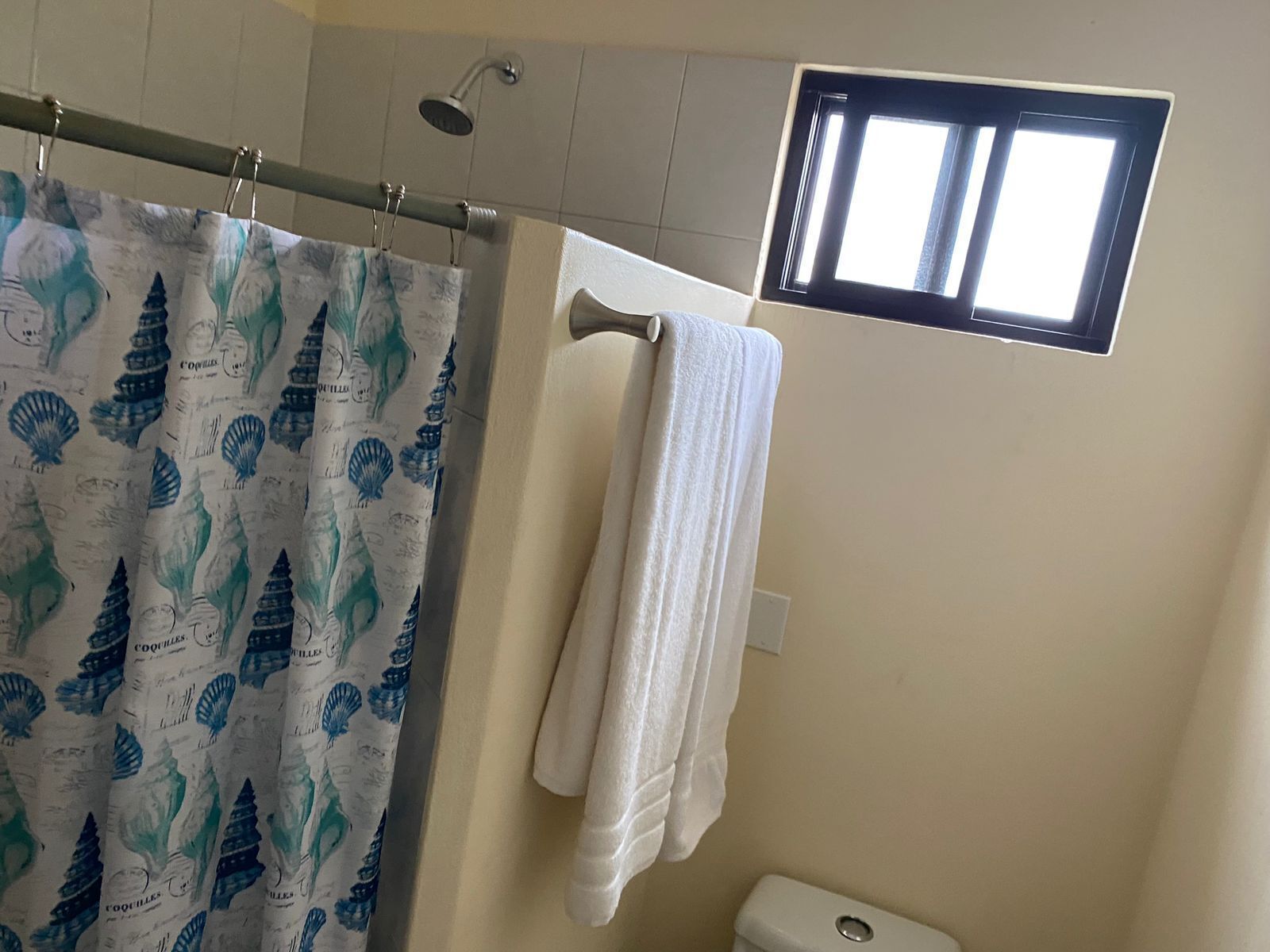 Une salle de bain avec une douche, des toilettes et une fenêtre.