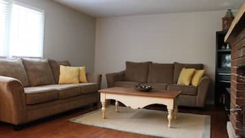 TV, fireplace, books