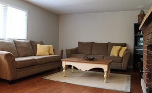 TV, fireplace, books