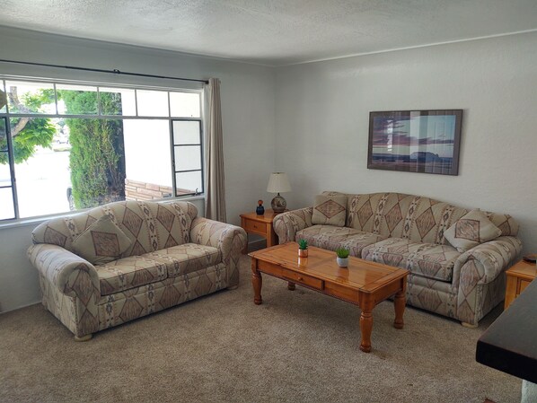 TV, fireplace, books