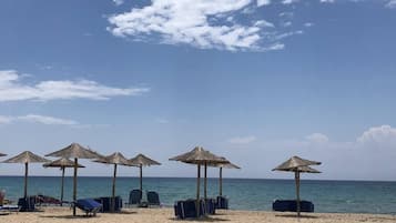 Playa en los alrededores