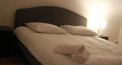 Centrally Located in Bern ,2DR, Sleep 6.