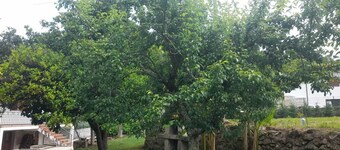 Casa de Campo Junto ao Parque Nacional Peneda-gerês