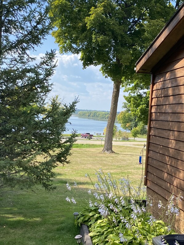 Área da propriedade