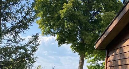 Seasons of Suckerbay