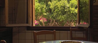 Big home in the heart of the medieval city of Rhodes. 