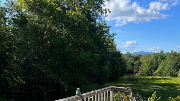 Puinen terassi, jossa on valkoinen Adirondack-tyylinen tuoli ja kivinen pöytä.