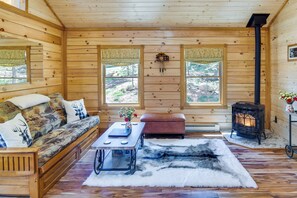 TV, fireplace, books