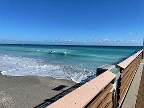 بالقرب من الشاطئ