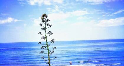 Villa Marechiaro * Anzio / Rome100m to the beach 340m to the train to the heart of Rome