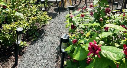Cozy Neighborhood Escape: Near Northwestern-Chicago-Beaches & More