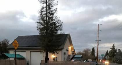 1-bedroom apartment just 6 minutes drive to Lithia & Driveway Fields