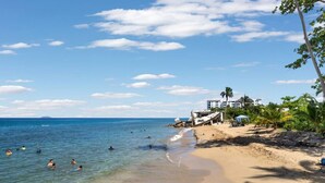 A beach with clear blue water, people swimming, and a building with a palm tree on the shore. - Beachfront Petite Paradise unit at Pelican Reef 103 (Rincon)