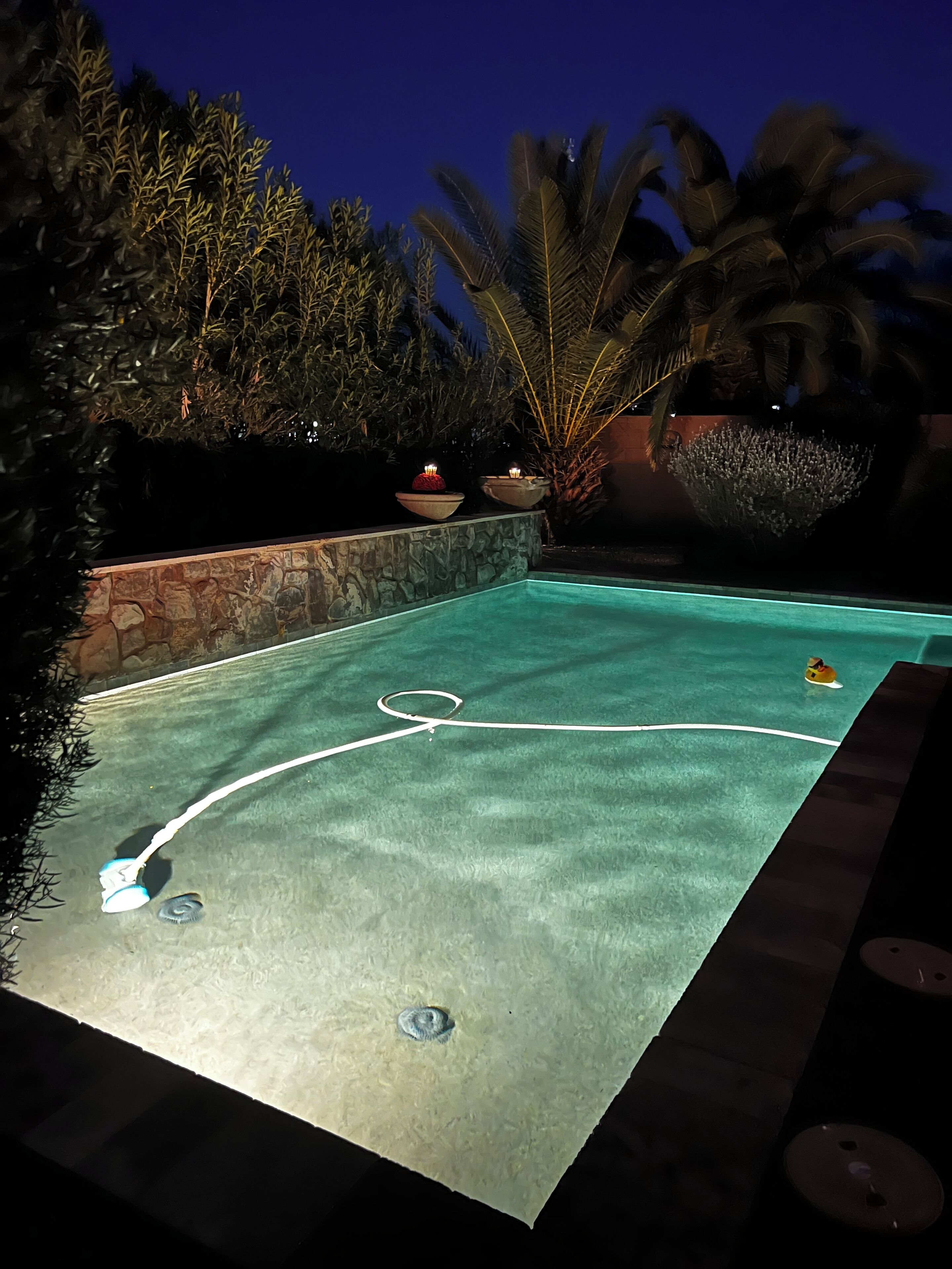 Backyard Oasis with a beautiful pool and privacy