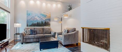 TV, fireplace, books