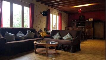 TV, fireplace, books