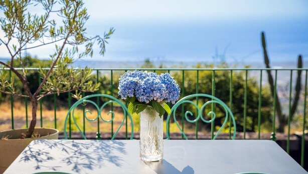 A table with a vase of blue flowers, a potted plant, and a view of greenery and a fence. - Lunarosa, scenic country cottage in Montargano. (Mascali)