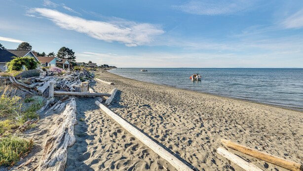 Une plage de sable avec des morceaux de bois flotté et une clôture en bois.