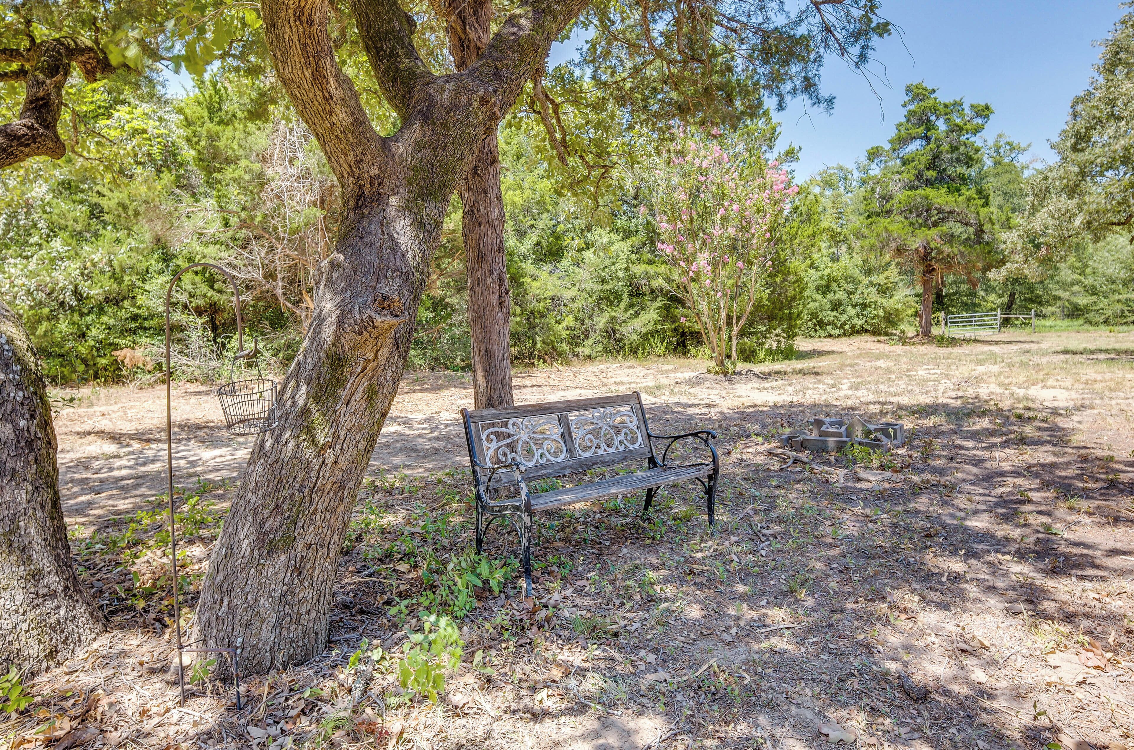 Un parco con una panchina all'ombra di un albero.