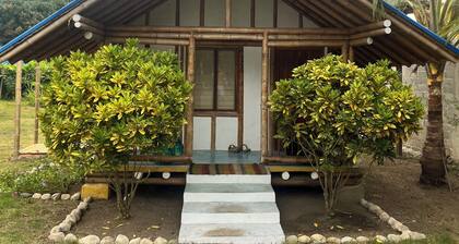 Tree of Life - Hostel