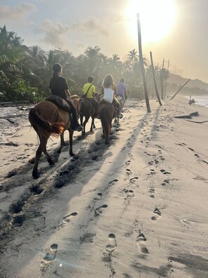 Horseback riding - Tree of Life - Hostel (Dibulla)