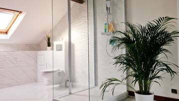 Douche, sèche-cheveux, serviettes fournies, savon