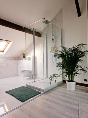 Dusche, Haartrockner, Handtücher, Seife