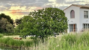 A white building with a large tree in front, surrounded by tall grass and a body of water. - Mas du Couvin - maison d'hôtes Camargue (Saintes-Maries-de-la-Mer)