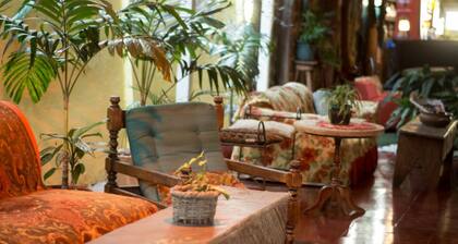 Hotel Punta Descartes