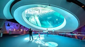 A large, circular viewing area with a transparent ceiling, allowing a view of underwater scenes. - Chic Ocean Miami 88 (Cutler Bay)