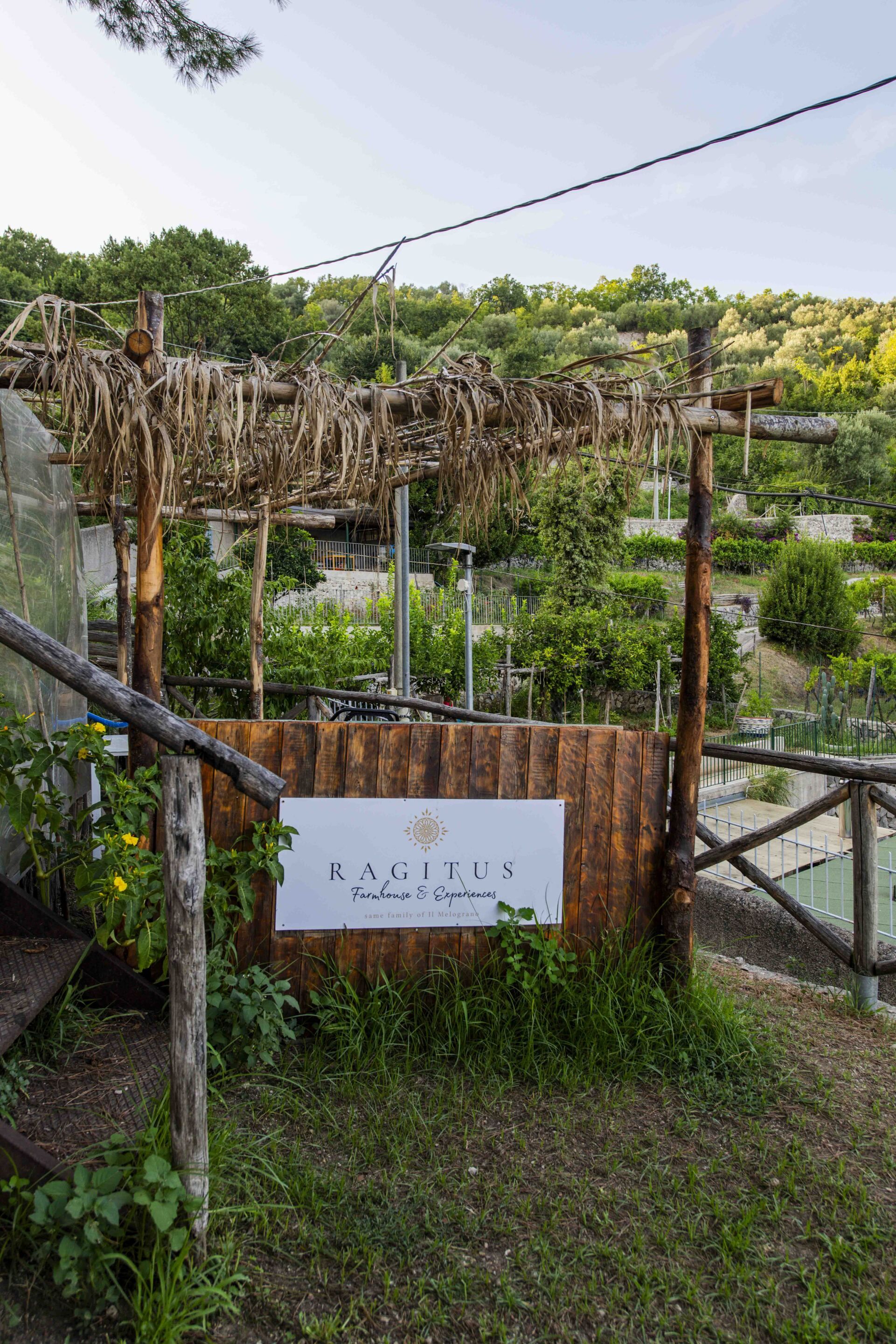 Un letrero de madera rústico con el nombre 'RAGITUS' y el eslogan 'Farmhouse & Experiences', indicando un establecimiento relacionado con una granja.